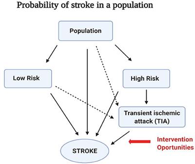 Scalable Bio Marker Combinations for Early Stroke Diagnosis: A Systematic Review